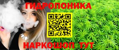 скорость Гусев