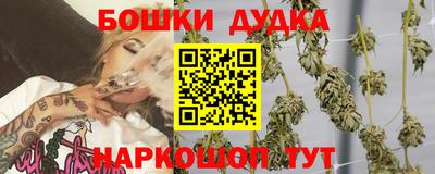 spice Дубна