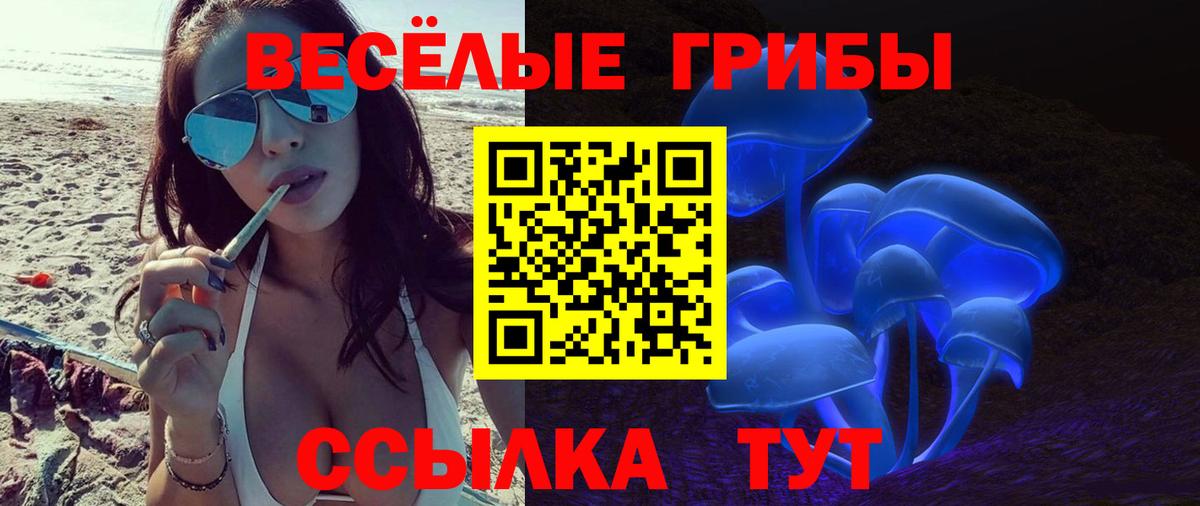 сколько стоит  Вход с VPN  Майский  Галлюциногенные грибы Psilocybine cubensis 